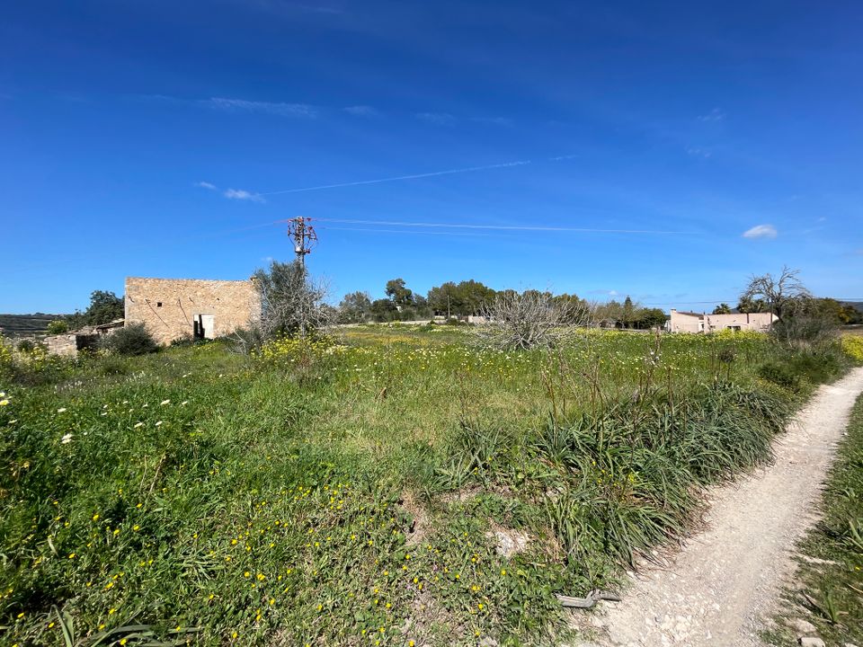 Helårsgrund i Manacor, Mallorca - foto 5