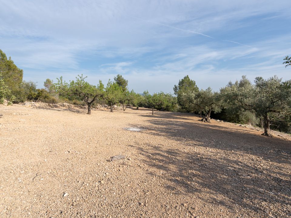 Finca i Tortosa, Tarragona - bilde 2