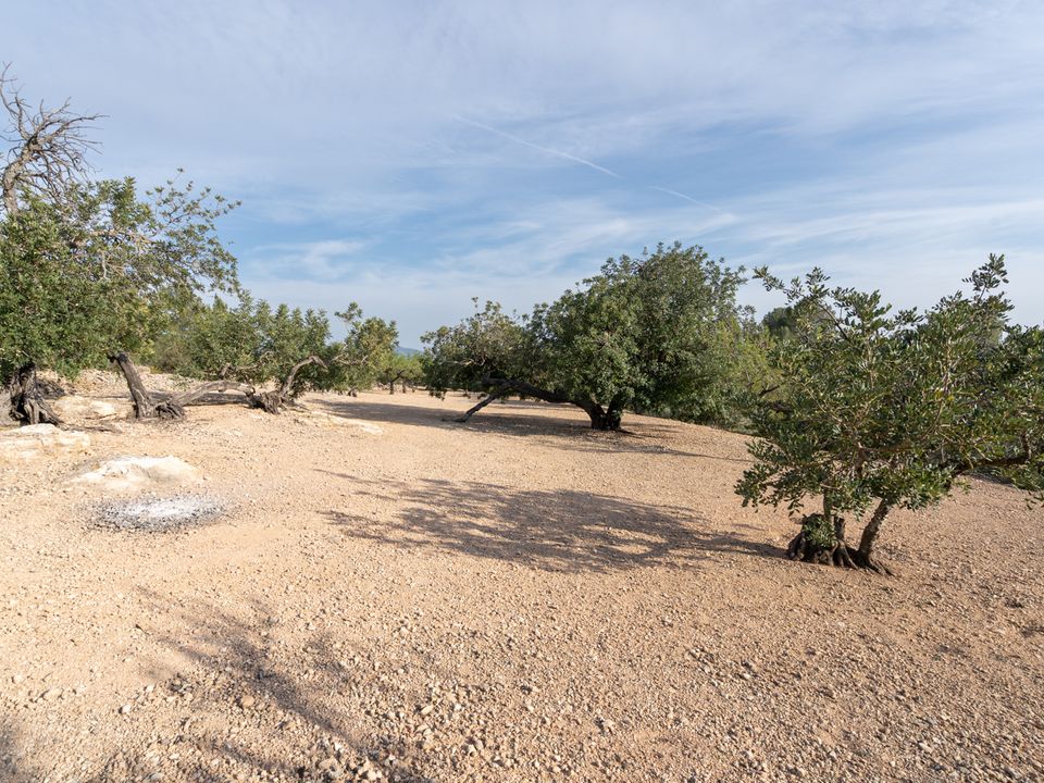 Finca i Tortosa, Tarragona - bilde 1