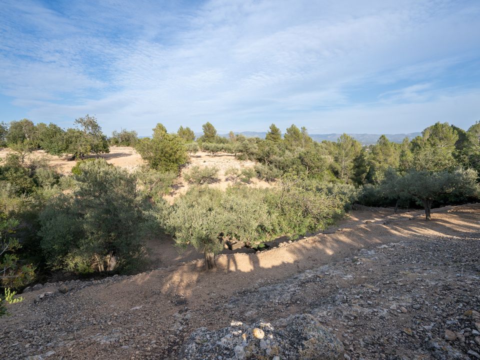 Finca i Tortosa, Tarragona - bilde 5
