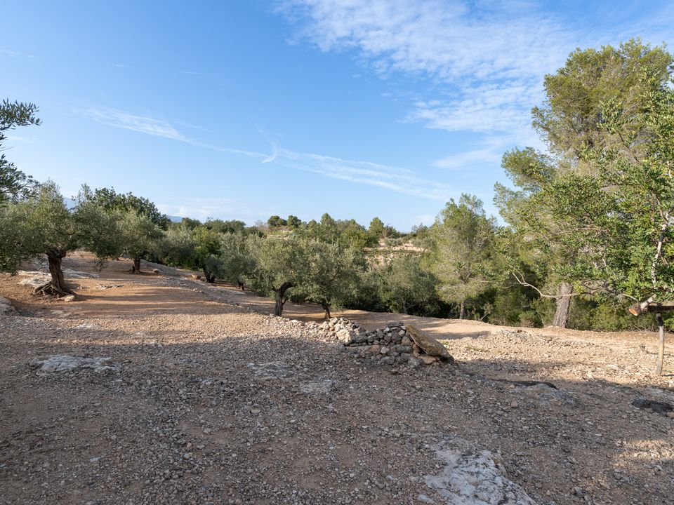 Finca i Tortosa, Tarragona - bilde 4