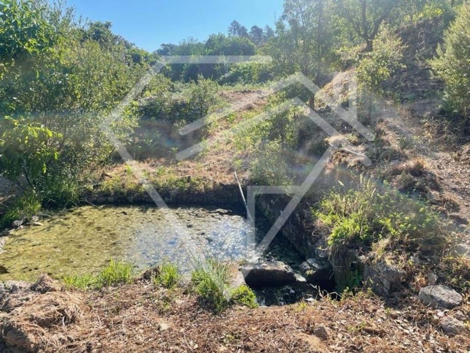 Farm i Monchique, Faro - foto 5