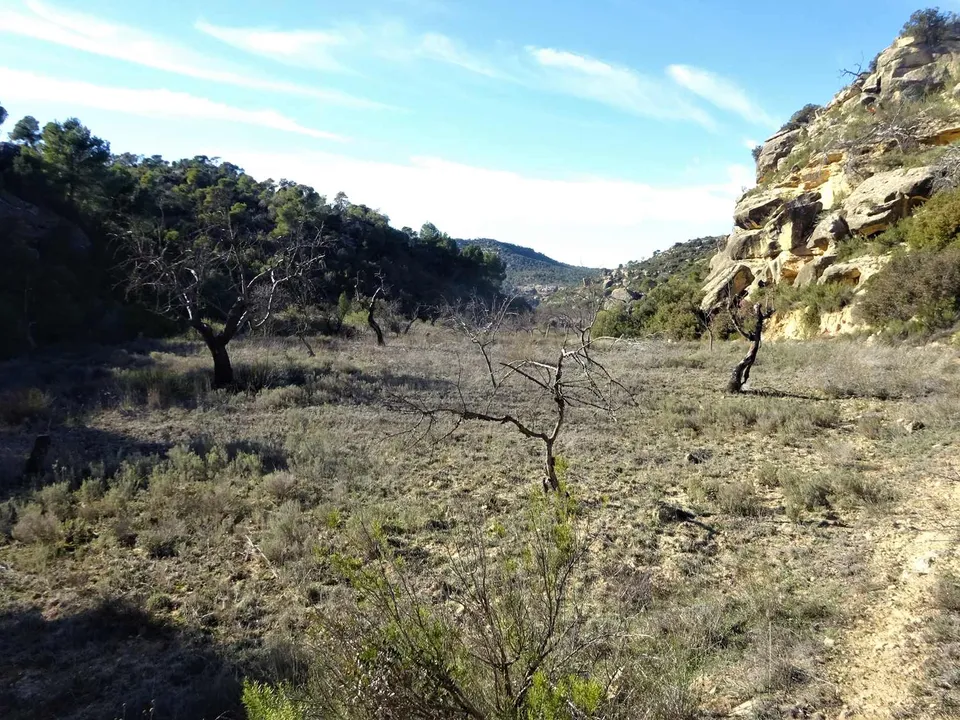 Finca i Maella, Zaragoza - bilde 2