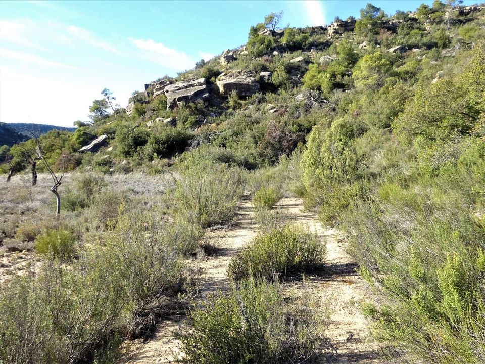 Finca i Maella, Zaragoza - bilde 5