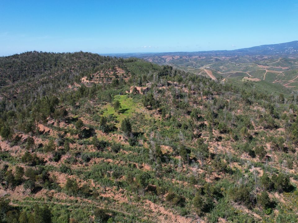Ruinere i Silves, Faro - foto 1