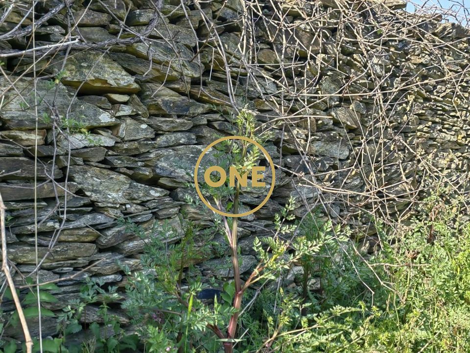 Helårsgrund i Esposende, Braga - foto 2