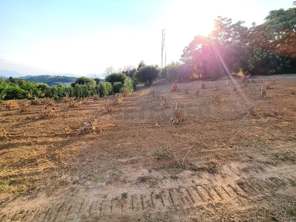 Erhvervsejendom i Pescara, Pescara - foto 4