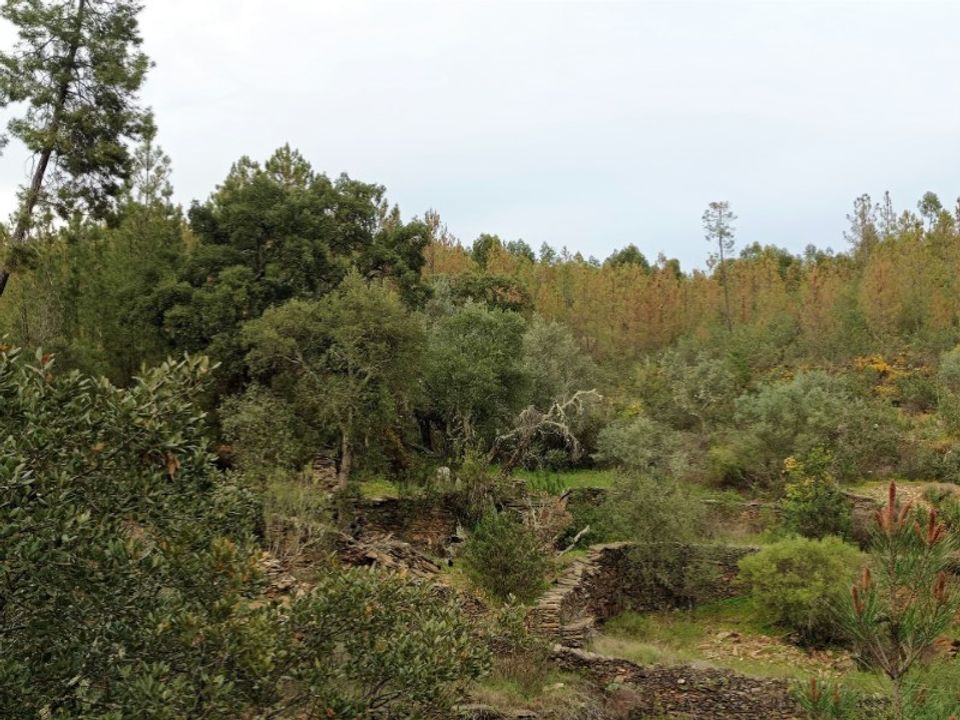 Helårsgrund i Cebolais de Cima, Castelo Branco - foto 5