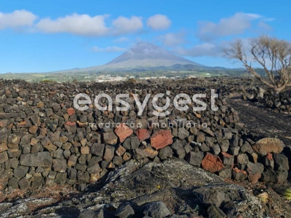 Helårsgrund i Criacao Velha, Pico - foto 1