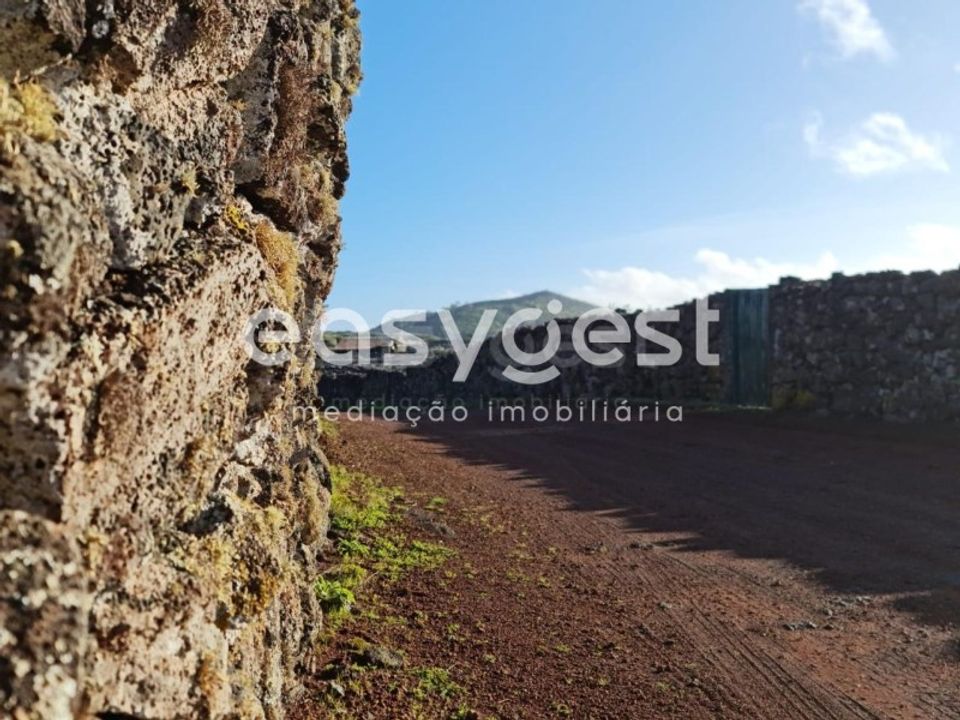Helårsgrund i Criacao Velha, Pico - foto 3