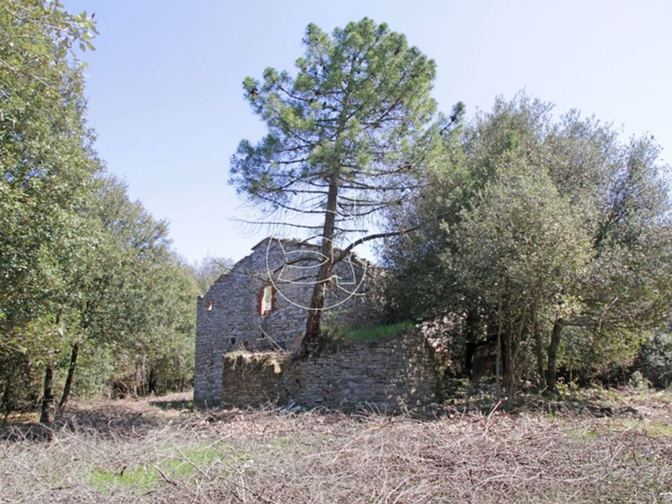 Landejendom i Rapolano Terme, Siena - foto 4