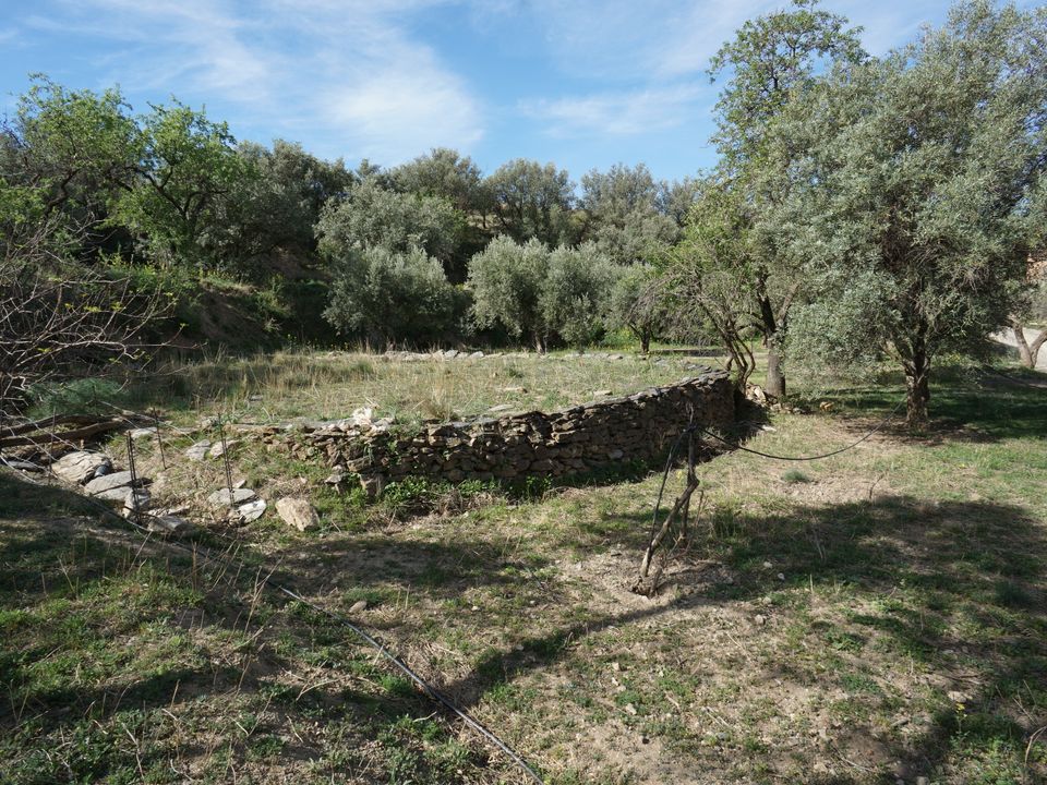 Farm hus i Almegijar, Granada - foto 3