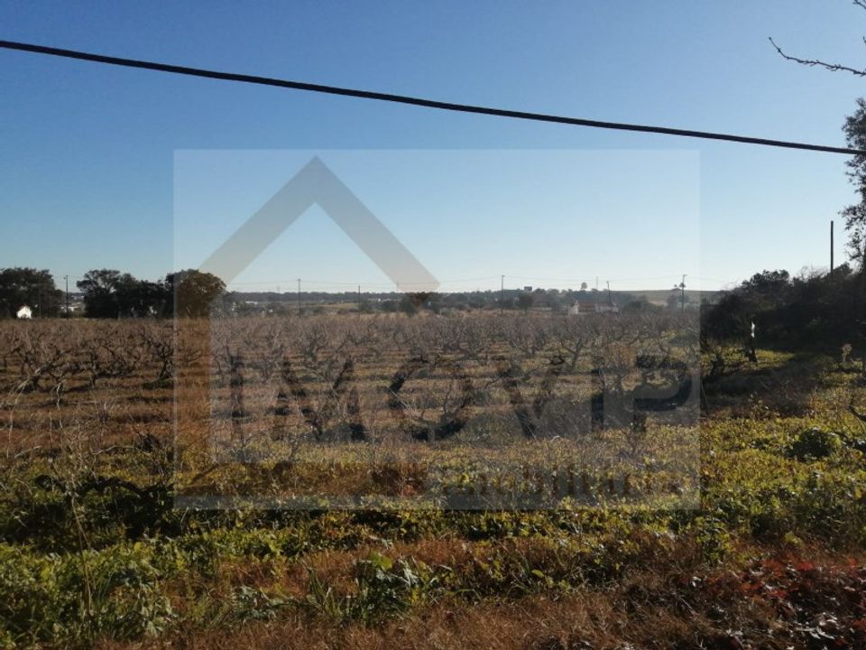 Helårsgrund i Palmela, Setubal - foto 3