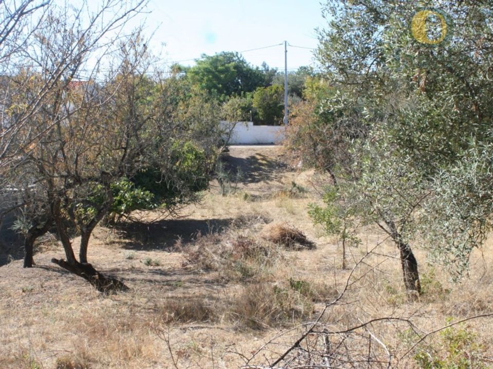 Helårsgrund i Santa Barbara de Nexe, Faro - foto 2
