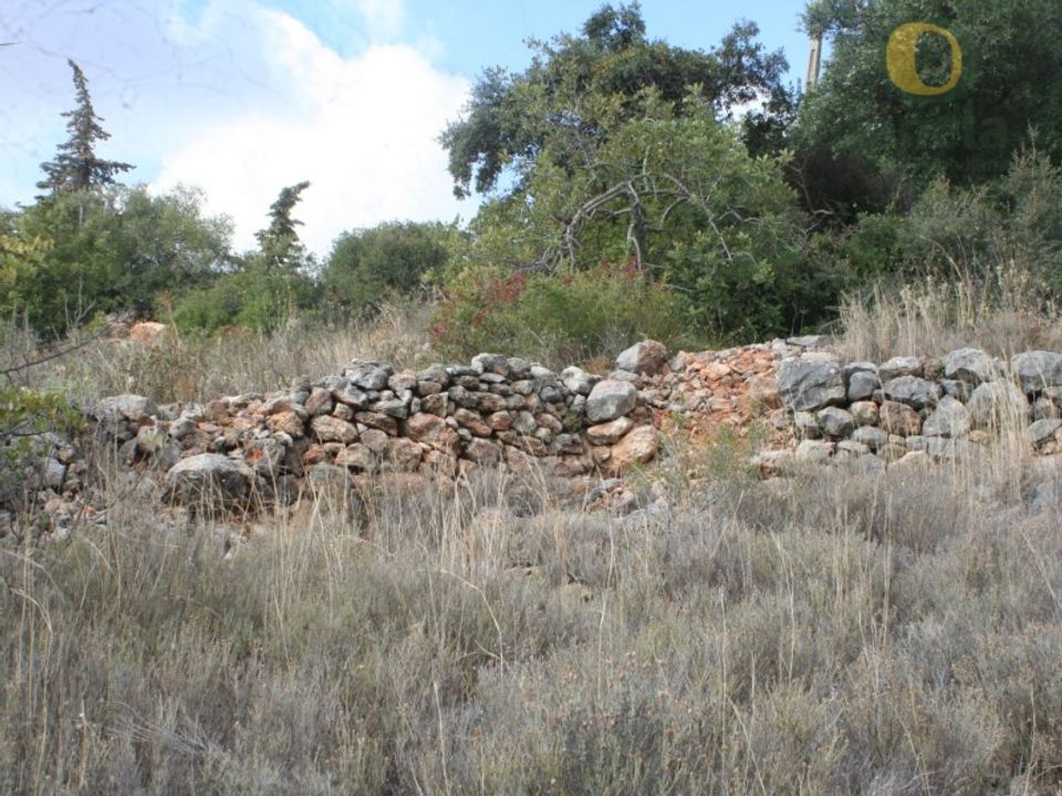 Helårsgrund i Santa Barbara de Nexe, Faro - foto 3