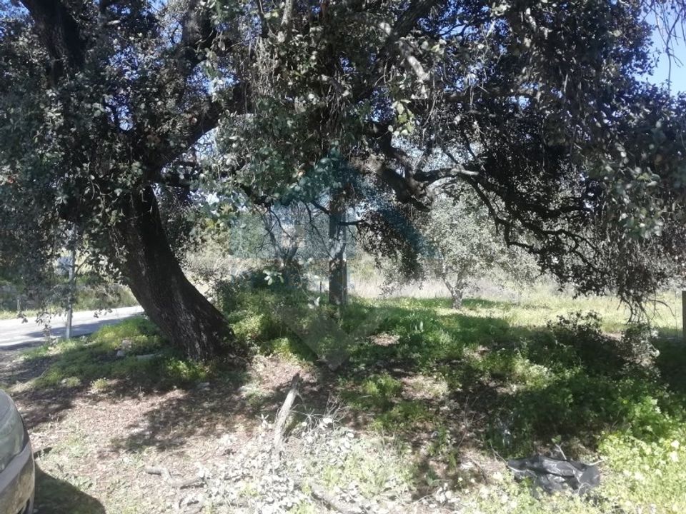 Villa i Estoi, Faro - foto 3