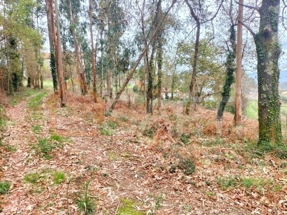 Helårsgrund i Reboreda e Nogueira, Viana do Castelo - foto 3