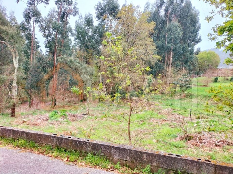 Helårsgrund i Reboreda e Nogueira, Viana do Castelo - foto 2