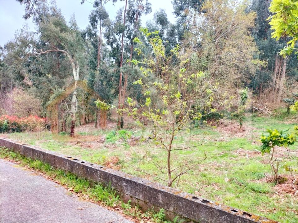 Helårsgrund i Reboreda e Nogueira, Viana do Castelo - foto 1
