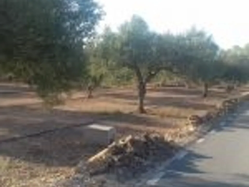 Finca i Ginestar, Tarragona - foto 5