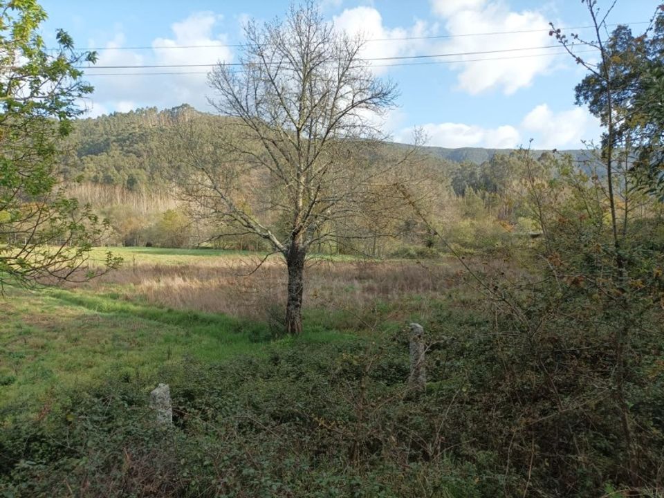 Helårsgrund i Oliveira de Azemeis, Aveiro - foto 1