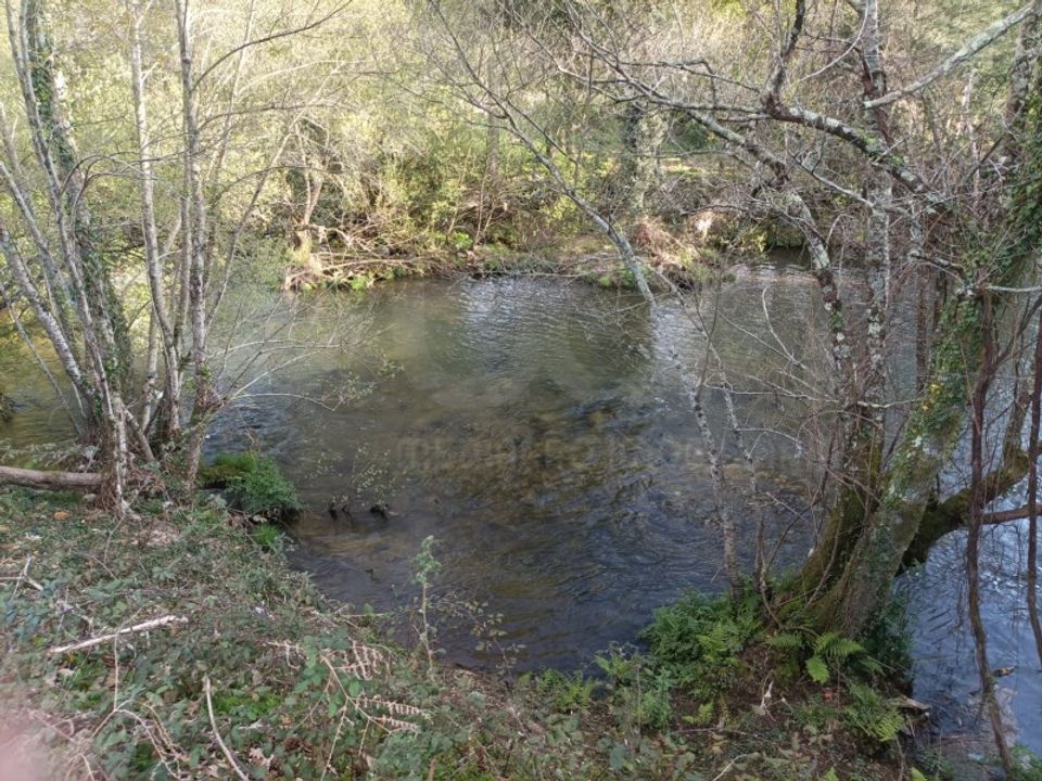 Helårsgrund i Oliveira de Azemeis, Aveiro - foto 3