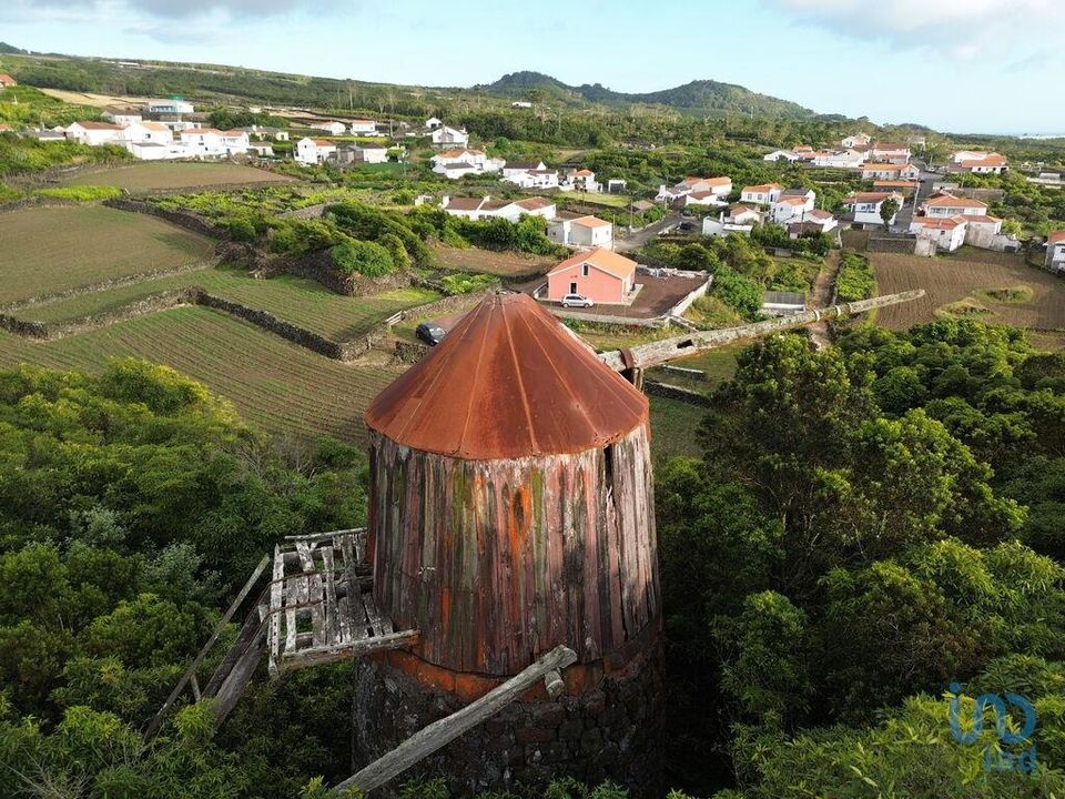 Byhus i Madalena, Pico - foto 3