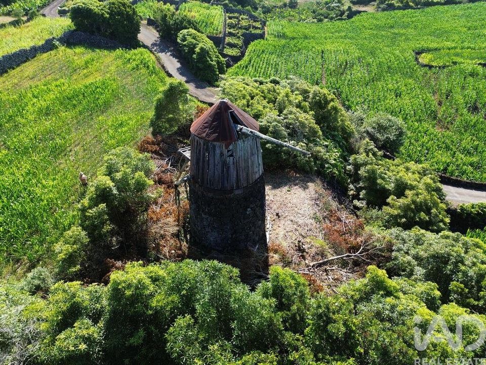 Byhus i Madalena, Pico - foto 4