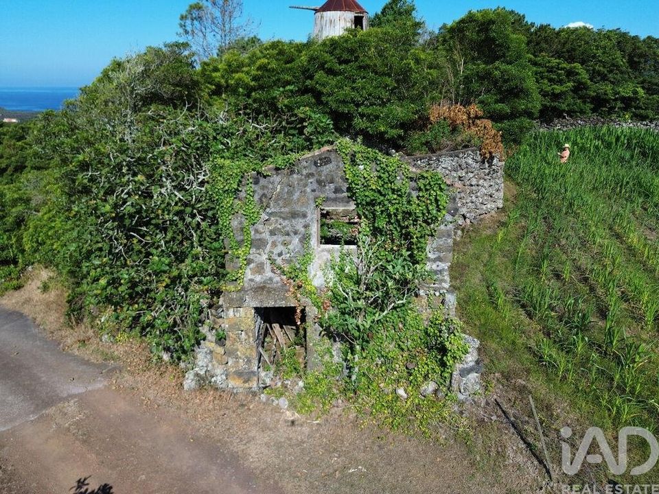 Byhus i Madalena, Pico - foto 5