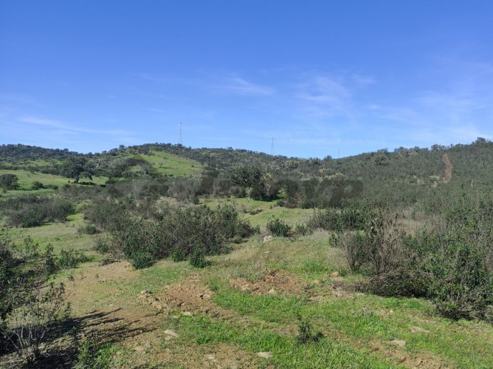 Helårsgrund i Almodovar, Beja - foto 1
