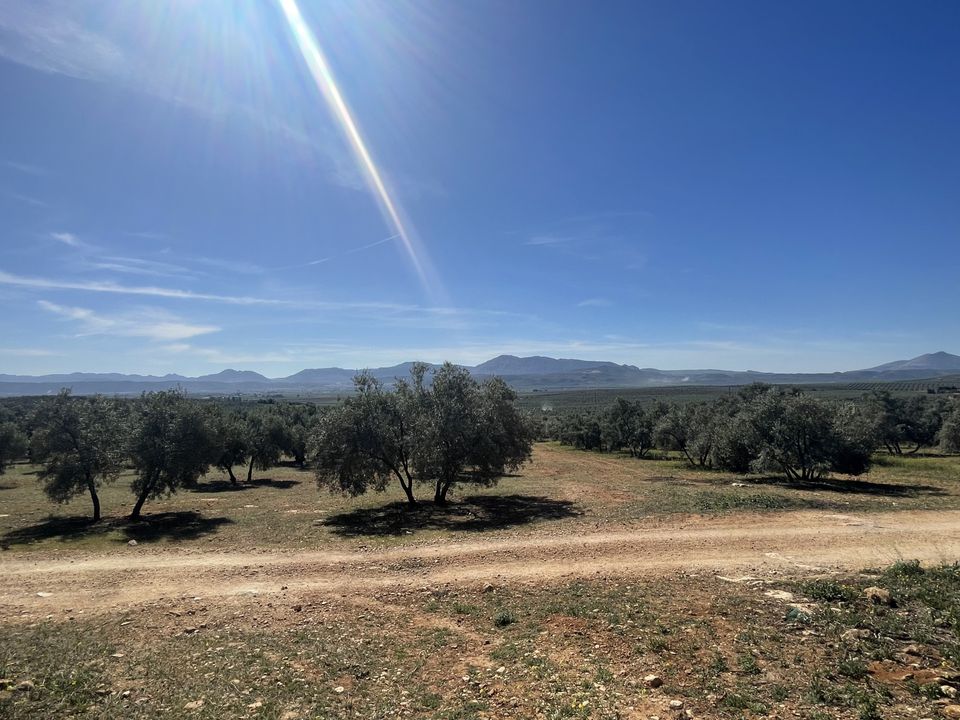 Helårsgrund i Mollina, Malaga - foto 1