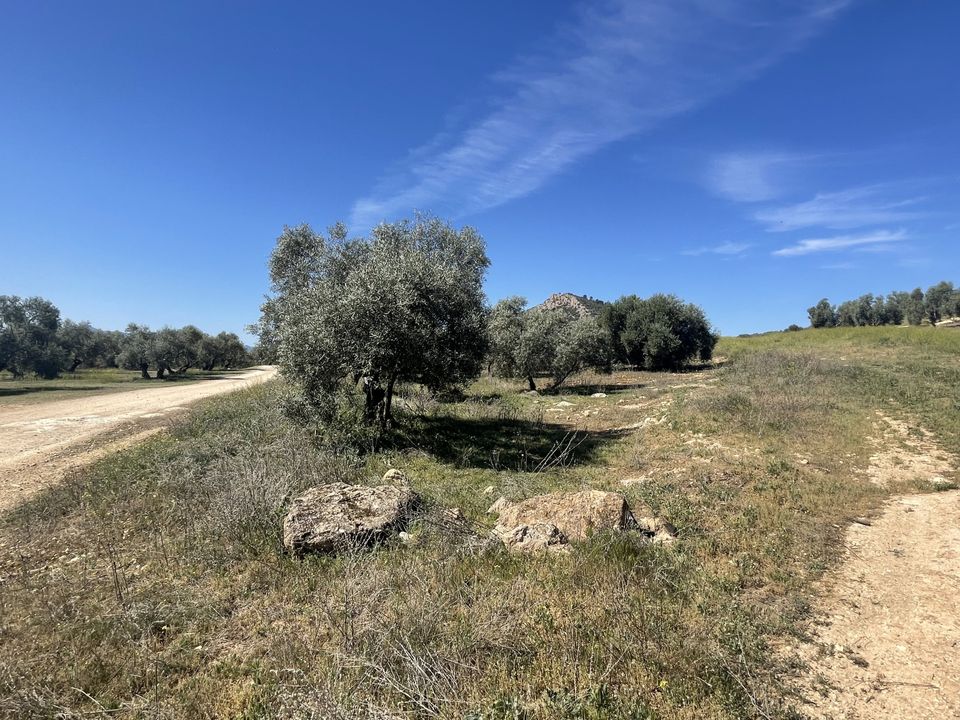 Helårsgrund i Mollina, Malaga - foto 2