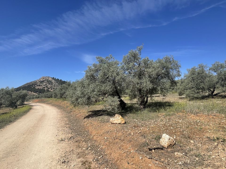 Helårsgrund i Mollina, Malaga - foto 3