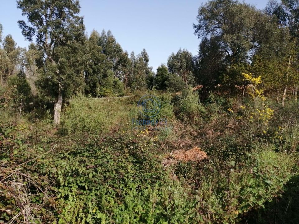 Terreno en Serzedo, Porto - foto 2