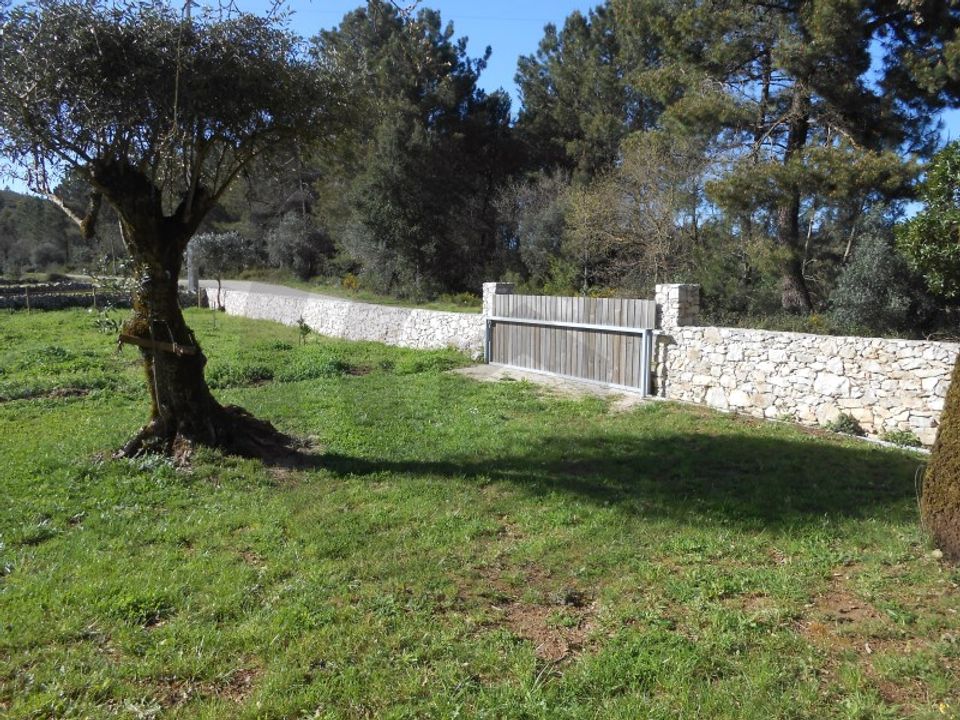 Helårsgrund i Fatima, Santarem - foto 4