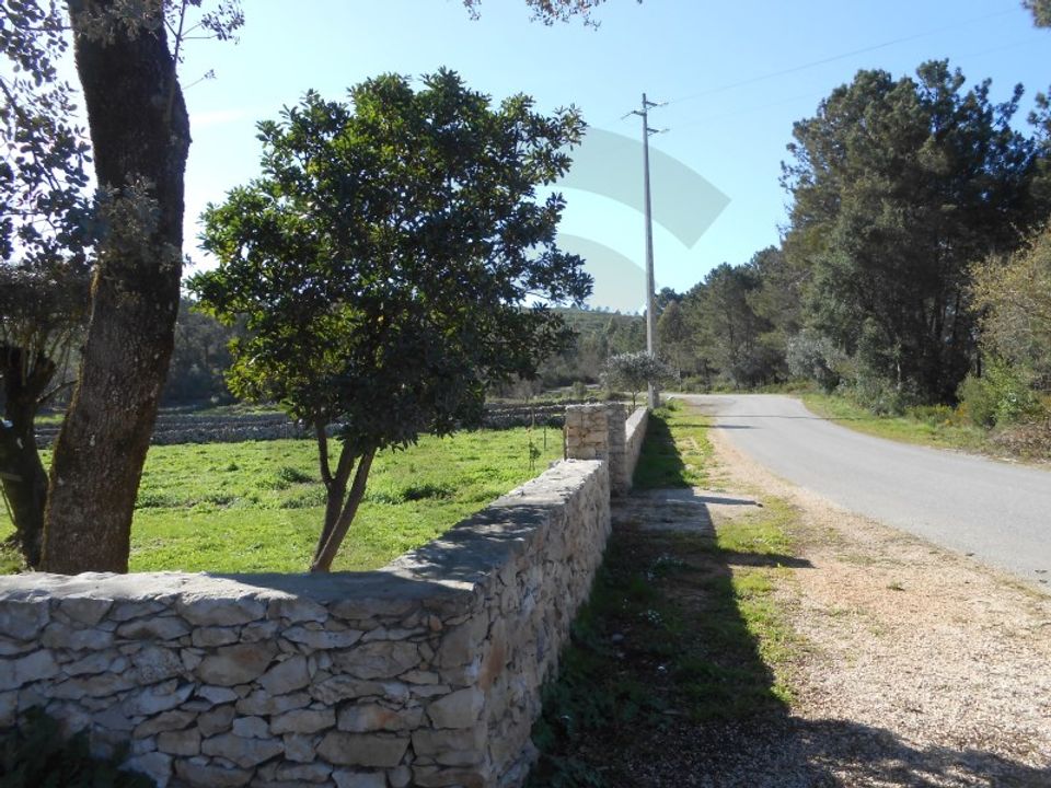 Helårsgrund i Fatima, Santarem - foto 5