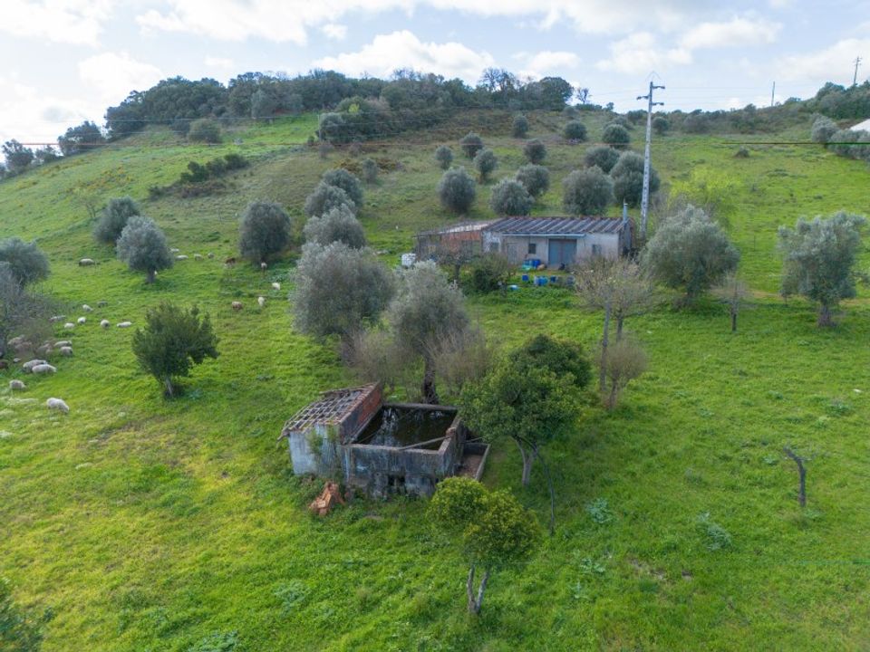 Helårsgrund i Alcanena, Santarem - foto 5
