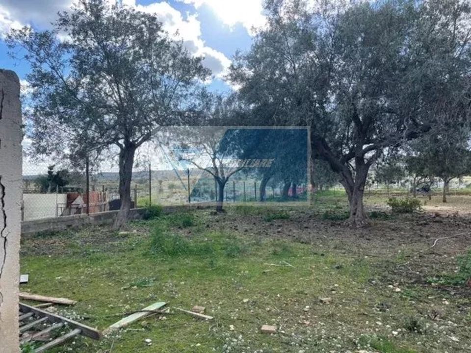 Terra a Melilli, Siracusa - foto 2