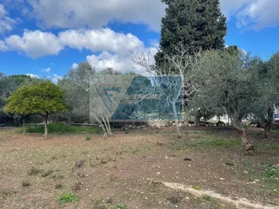 Terra a Melilli, Siracusa - foto 3