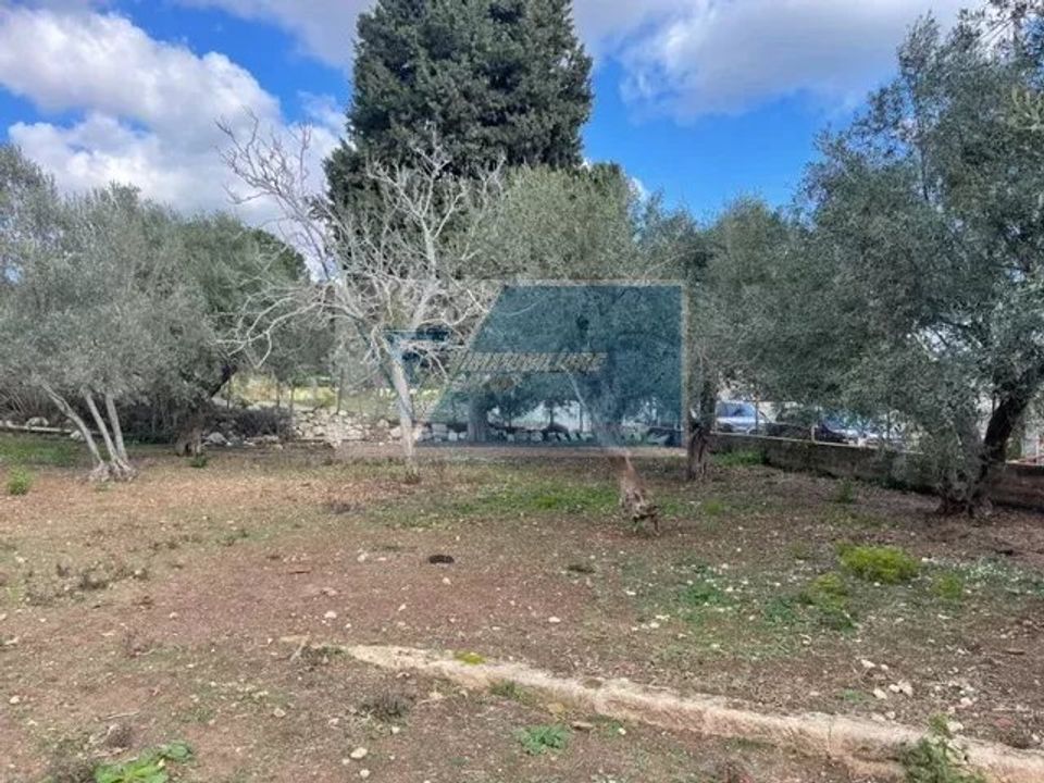 Terra a Melilli, Siracusa - foto 4