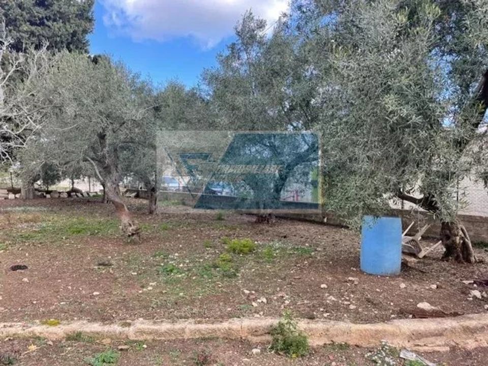 Terra a Melilli, Siracusa - foto 5