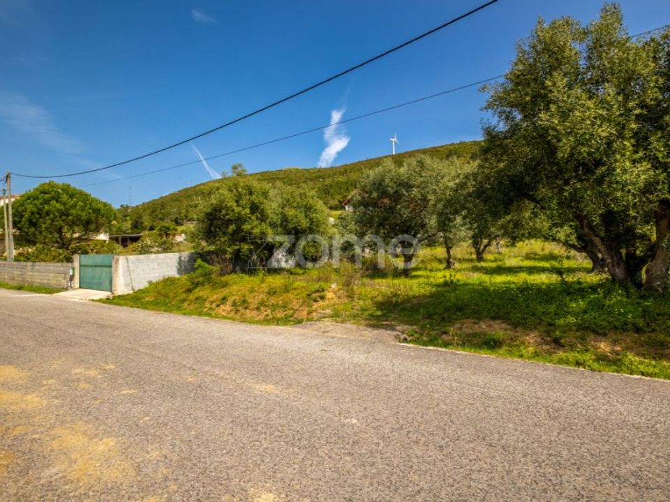 Helårsgrund i Batalha, Leiria - foto 5