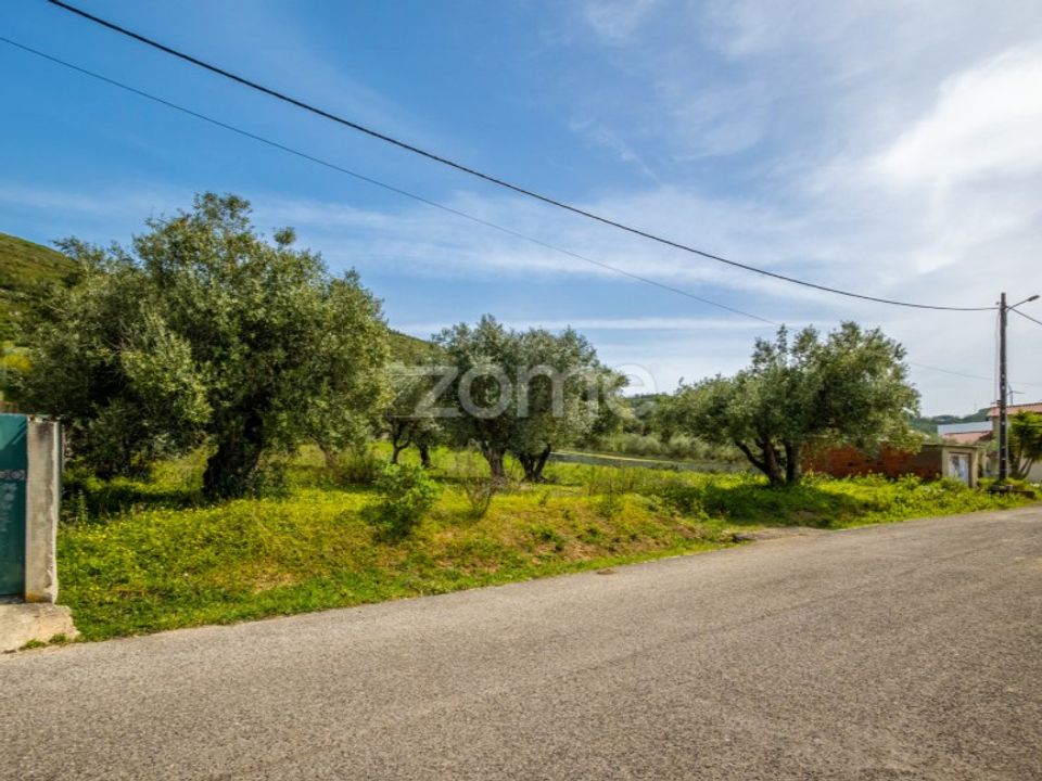 Helårsgrund i Batalha, Leiria - foto 3