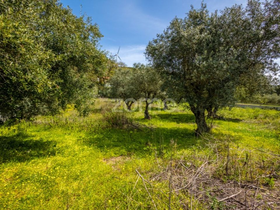 Helårsgrund i Batalha, Leiria - foto 4