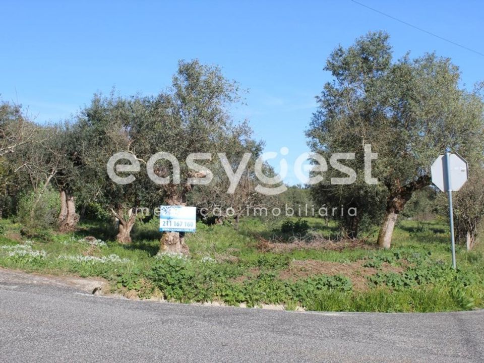 Byhus i Asseiceira, Santarem - foto 3
