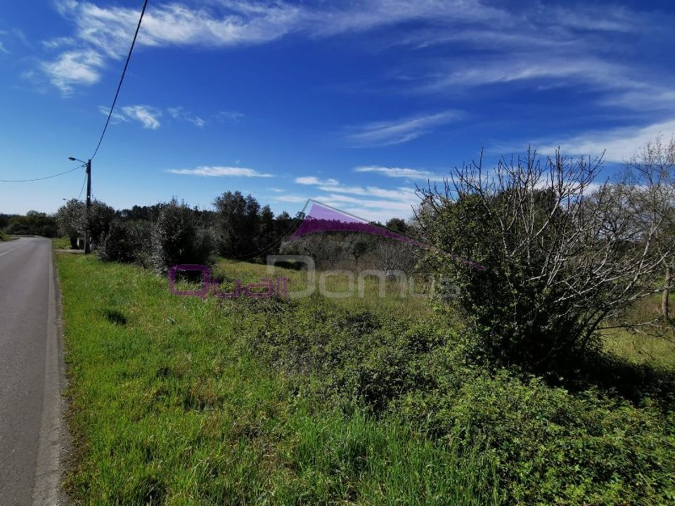 Helårsgrund i Olaia e Paco, Santarem - foto 2