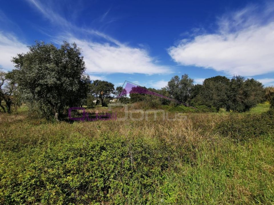 Helårsgrund i Olaia e Paco, Santarem - foto 4