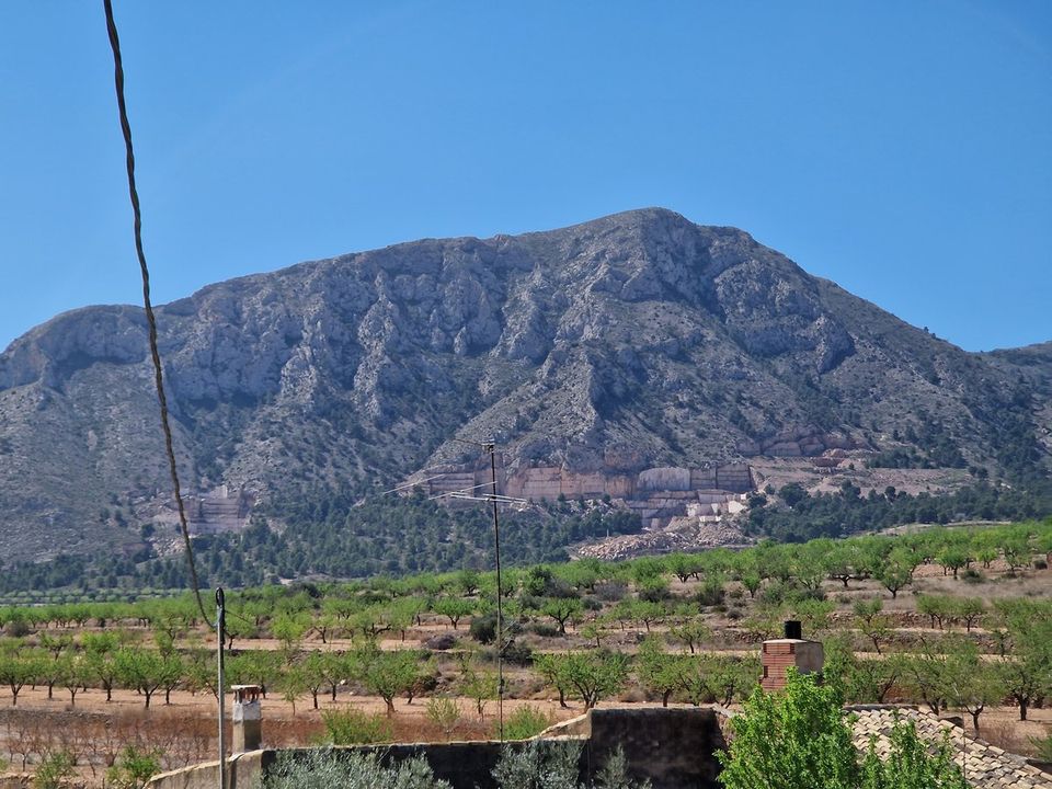 Landejendom i Abanilla, Murcia - foto 3