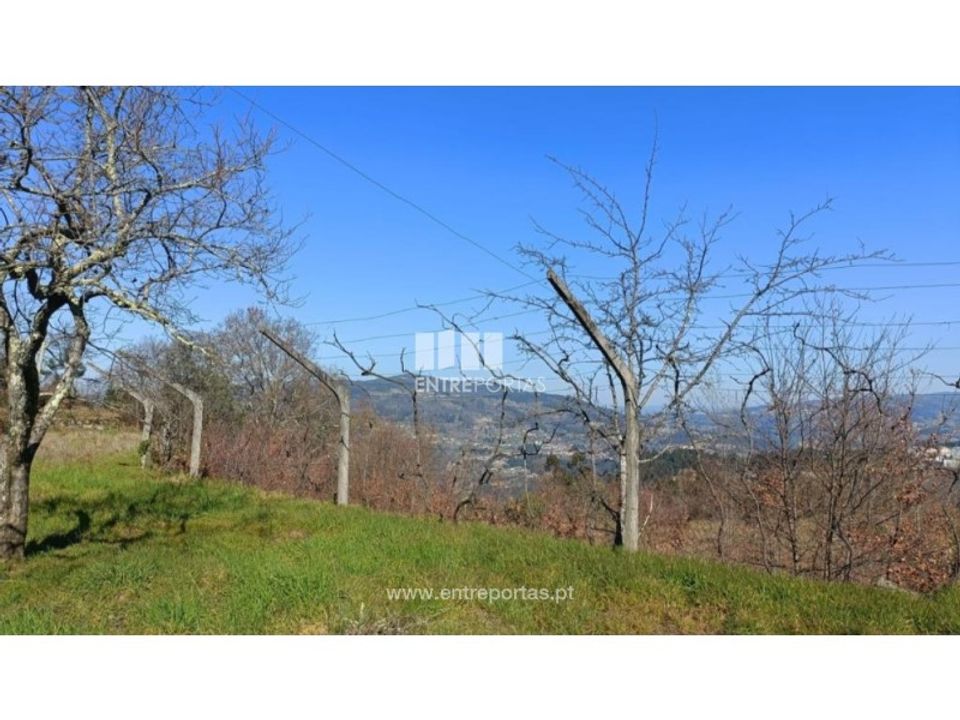 Helårsgrund i Cinfaes, Viseu - foto 3