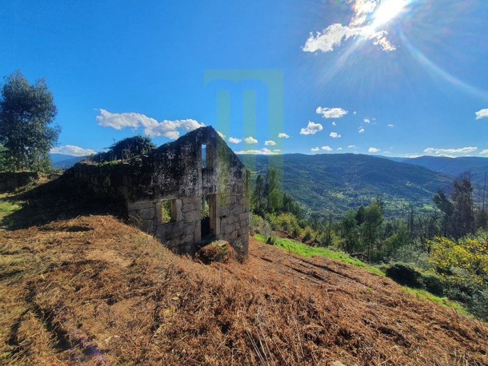 Farm i Santa Ovaia e Vila Pouca da Beira, Coimbra - foto 3